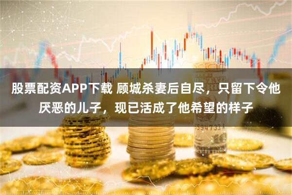 股票配资APP下载 顾城杀妻后自尽，只留下令他厌恶的儿子，现已活成了他希望的样子
