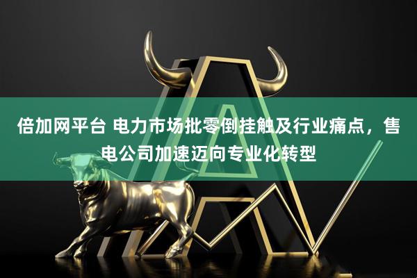 倍加网平台 电力市场批零倒挂触及行业痛点，售电公司加速迈向专业化转型