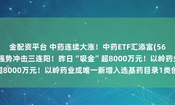 金配资平台 中药连续大涨！中药ETF汇添富(560080)逆市涨超1.2%强势冲击三连阳！昨日“吸金”超8000万元！以岭药业成唯一新增入选基药目录1类创新中药
